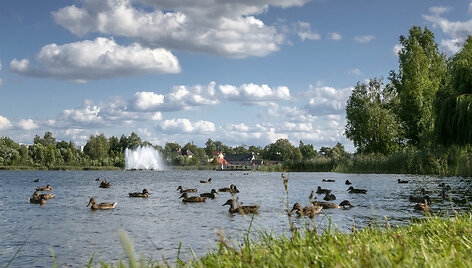 Dauni&scaron;kio parkas