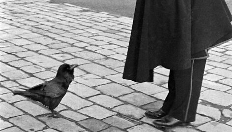 Londono Tauerio varnai