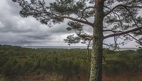 Kuršių nerijos nacionalinis parkas