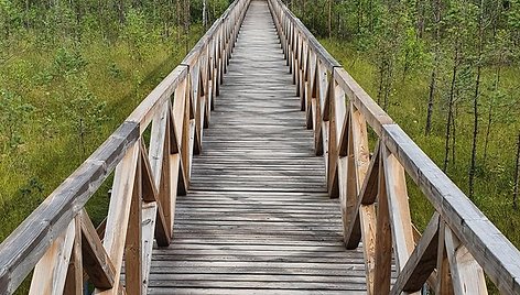 Kačėniškės pažintinis takas