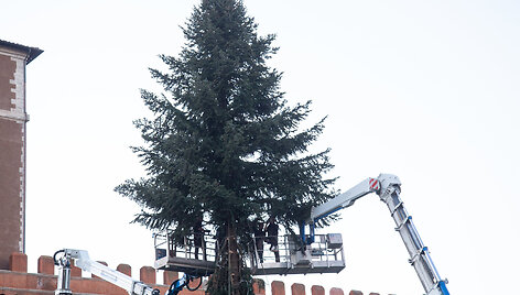 Kalėdų eglė Romoje 2020 m.