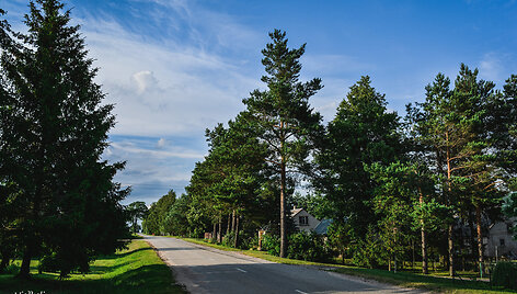 Būdviečiai (Vilkavi&scaron;kio r.)