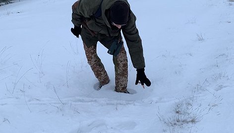 Gyvūnų pėdsakai Kuršių nerijoje