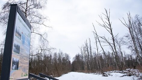 Žalgirių pažintinis takas