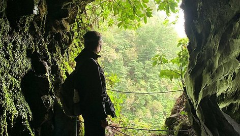 Levada do Caldeirão Verde + Caldeirão do Inferno