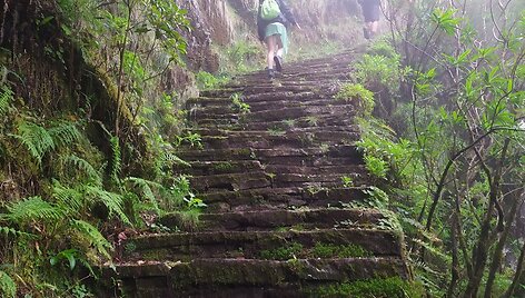 Caminho Real da Encumeada