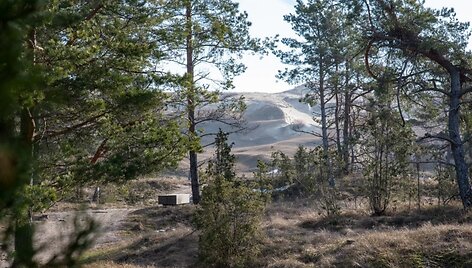 Naglių gamtinio rezervato pažintinis takas