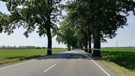 Kelionė į Kaliningradą