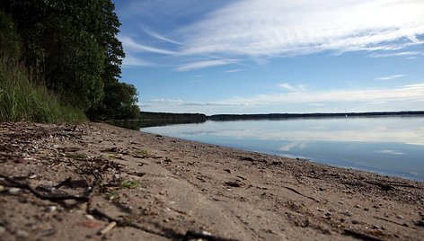 Bijotų-Širvinto miško pažintinis takas