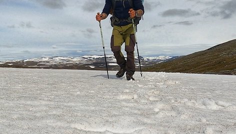 Algirdo žygis Skandinavijoje