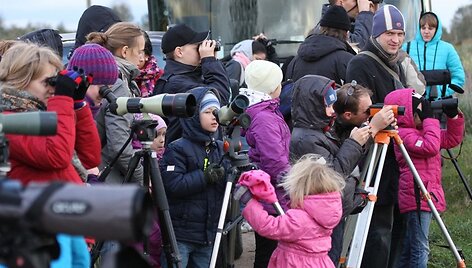 Europos ir Vidurio Azijos &scaron;alys kartu palydėjo migruojančius pauk&scaron;čius.