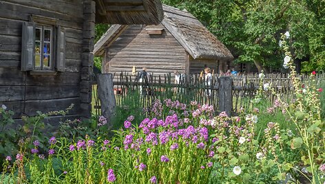Daugyvenės kultūros istorijos muziejus-draustinis (Radvili&scaron;kio r.)