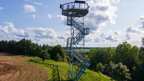 Lygumų apžvalgos bok&scaron;tas