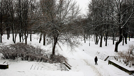 Vilnius Reformatų skveras žiemą