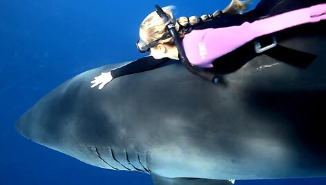 Ocean Ramsey