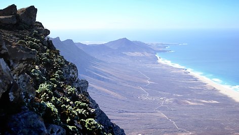 Fuertaventura