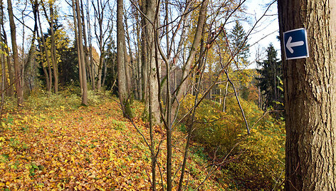 Grabijolų pažintinis takas