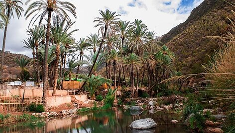 Paradise Valley