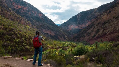 Paradise Valley