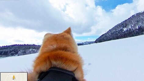 Japonijoje &bdquo;Google Street View&ldquo; &ndash; i&scaron; &scaron;uns perspektyvos