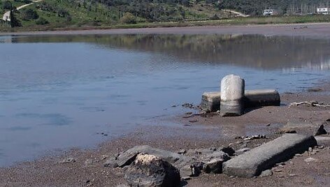 Bargilija