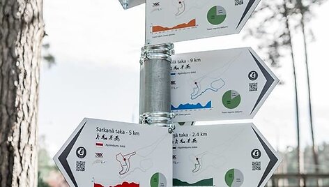 Giraitė Lietuvos ir Latvijos draugystei