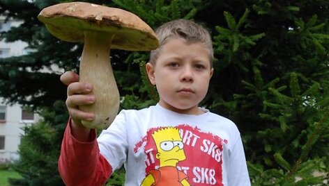 Įkrauk.lt nuotrauka