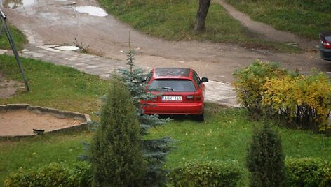 Įkrauk.lt nuotrauka