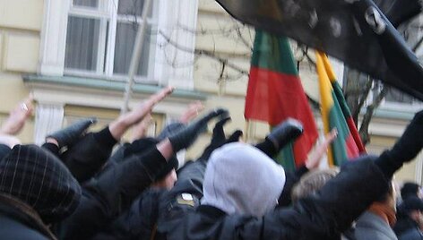2013 m. Kovo 11&ndash;oji Lietuvos Nepriklausomybės atkūrimo diena Vilniaus Gedimino prospekte. &Scaron;altinis &ndash; antifa.lt