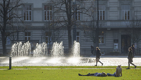 Bobų vasara Vilniuje