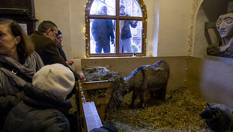 Gyva Prakartėlė Bernardinuose ir mišios