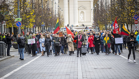 A.G.Astrauskaitė kvietė protestuoti prieš Vyriausybės neva vykdomą represinę politiką