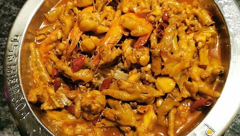 Birutės Valčiukaitės gyvenimas ir darbas Kinijoje 