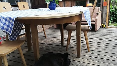 Aurelija kartu su vyru pastatė namelį i&scaron; senų langų