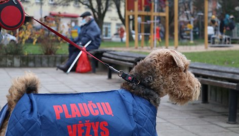 Apie plaučių vėžio prevenciją primena ir originaliais „reklaminiais plotais“ tapę keturkojai