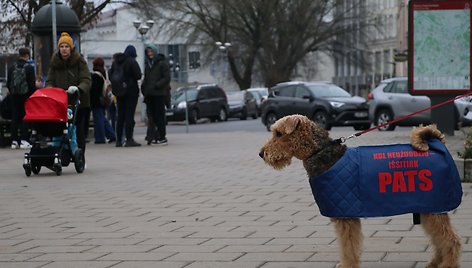 Apie plaučių vėžio prevenciją primena ir originaliais „reklaminiais plotais“ tapę keturkojai