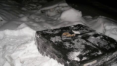 I&scaron; Nemuno i&scaron;trauktos cigaretės