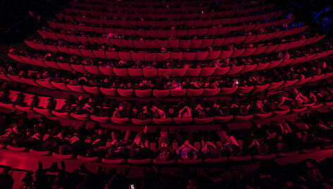 Kino pavasaris