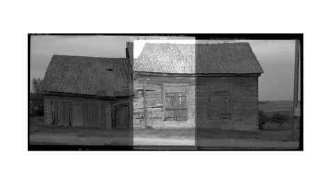 Dovilė Dagienė, Augalų atmintis, Sinagoga