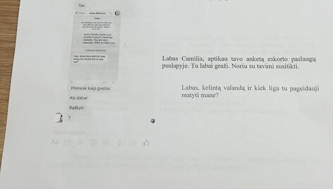Parei&scaron;kimo kopija
