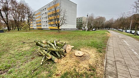 Sostinės &bdquo;Žirmūnų trikampyje&ldquo; kertami medžiai