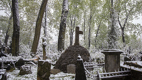 Bernardinų kapinėse audra išvartė medžius