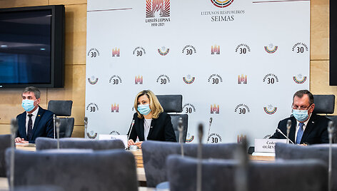 Ritos Tama&scaron;unienės, Česlavo Ol&scaron;evskio ir Kęstučio Vilkausko spaudos konferencija
