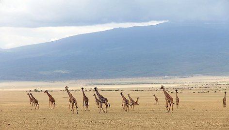 Kelionių po Keniją ir Tanzaniją akimirkos