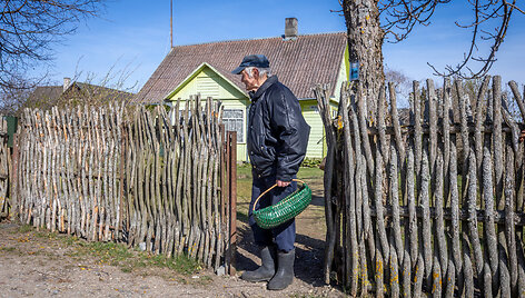 Bronius Klimavičius eina rinkti bobausių