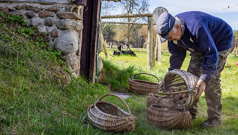 Juozo bulviasodžio talka Kaniavos (Varėnos raj,) kaime