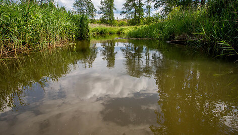Varėnės upė