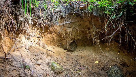 Archeologinių vertybių plė&scaron;ikų i&scaron;kasinėtas Abejučių pilkapis
