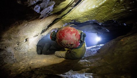 Tarptautinė mokslininkų komanda kalnų požemiuose tyrinėja šikšnosparnius