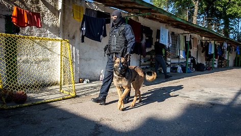 Kalėjimų departamento pareigūnai atlieka kratą Pravieniškių pataisos namuose